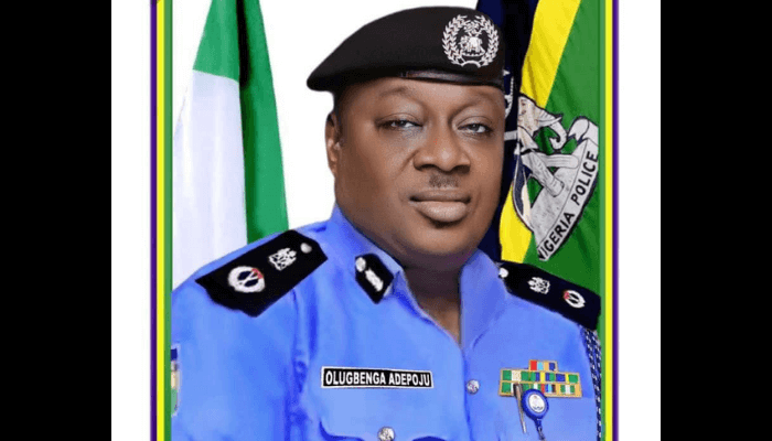 LGA sole administrator