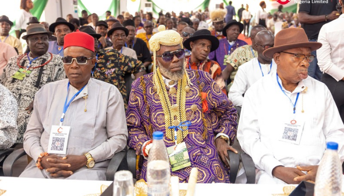 Trans-Niger Pipeline