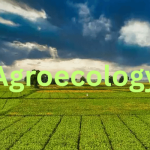 Agroecology