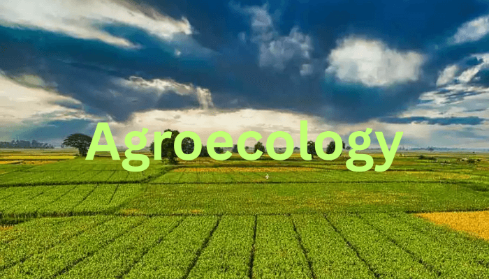 Agroecology