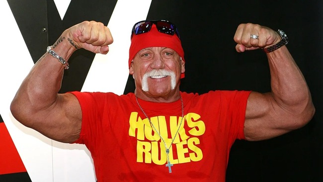 Wrestling legend Hulk Hogan dies at age 71