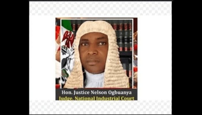 Justice Nelson Ogbuanaya