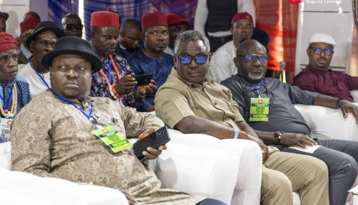 Trans-Niger pipeline security