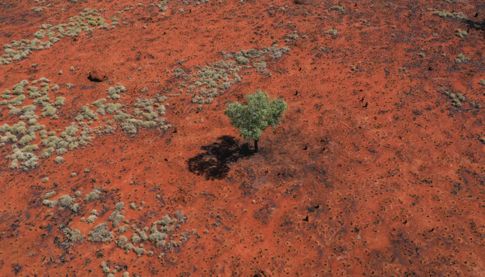 Australia 1 million sq km