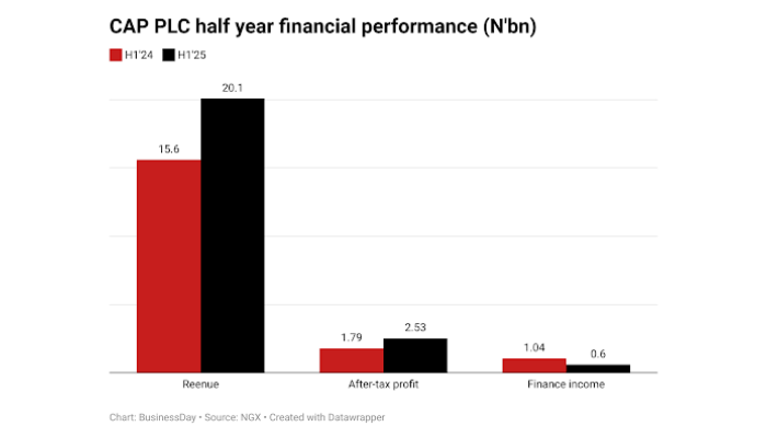 CAP Plc H1 profit