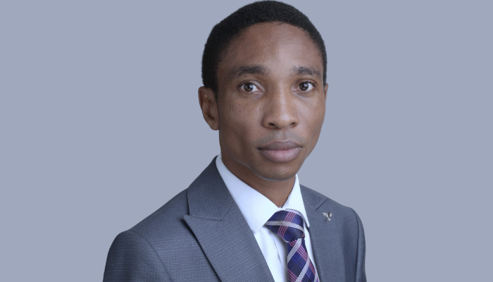 FG, AFDB to set up $100m youth investment bank to back young entrepreneurs