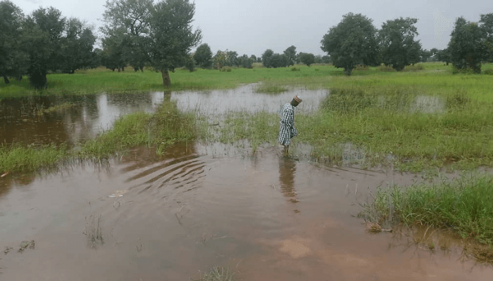 Flooding in Jigawa