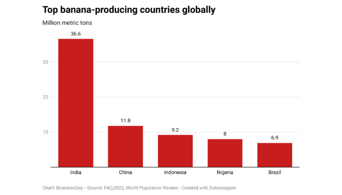Global banana shortage