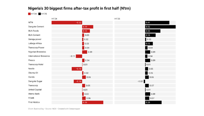 Nigeria’s largest firms