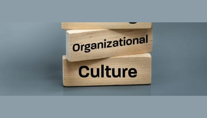 Organisational culture
