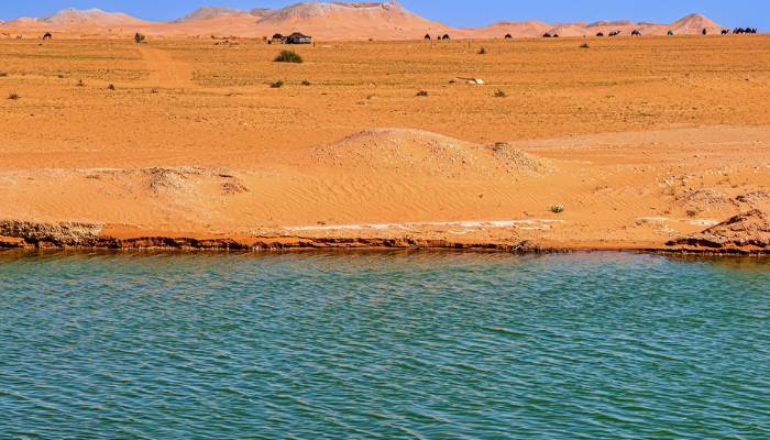 Saudi Arabia 1.3 million sq km