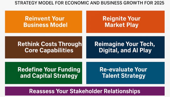 Seven PWC imperatives strategy model for economic and business growth for 2025