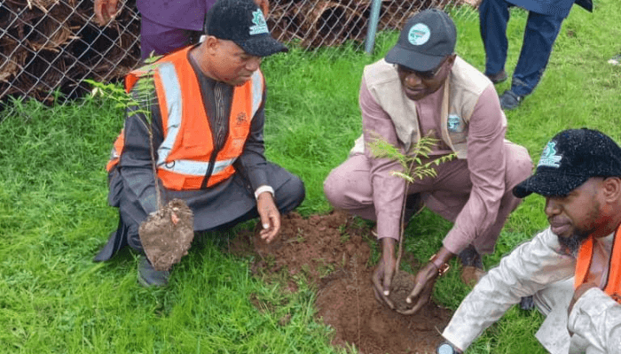 Tree planting in Bauchi state