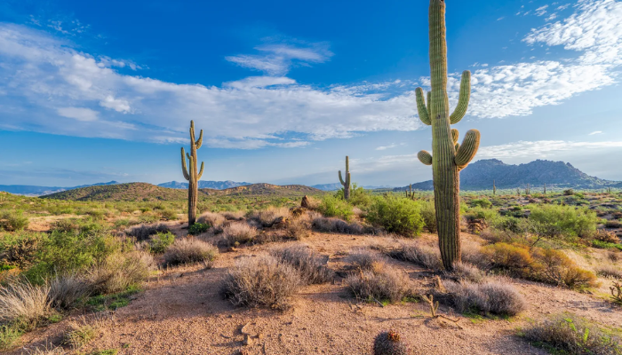 United States 500,000 sq km