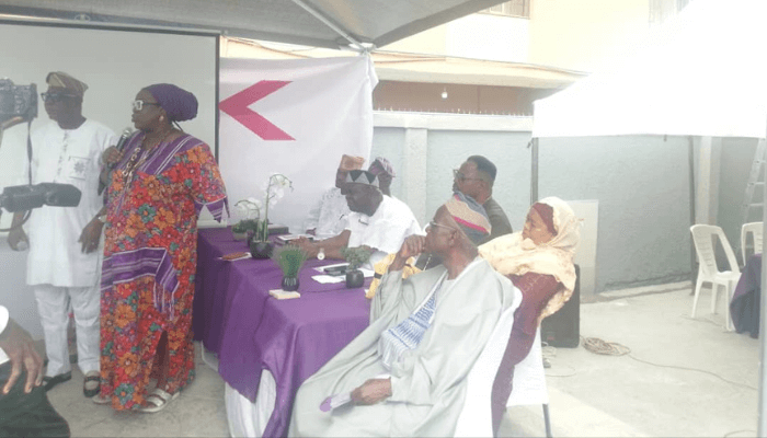 Nigerian health workers