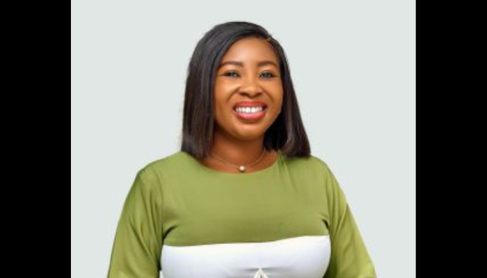 Nigeria Tourism industry