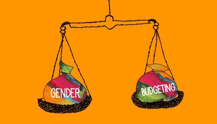 gender budgeting practices in nigeria