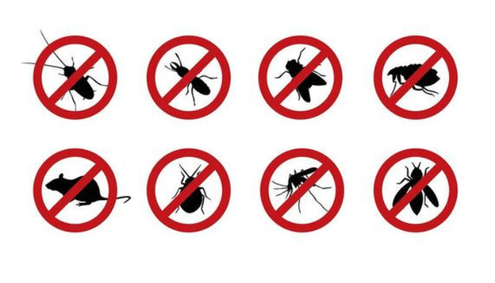 Household pests control