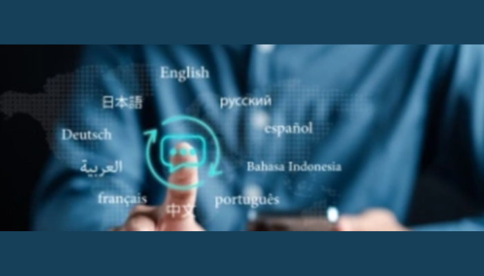 Language in digital economy