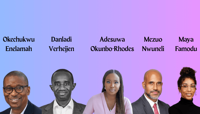 Nigeria’s private capital industry