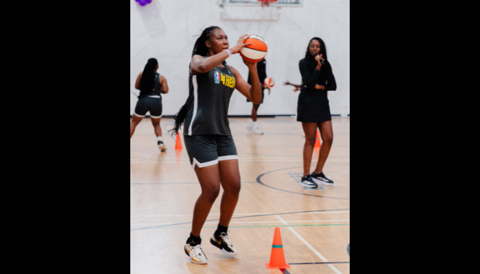 Basketball Africa League