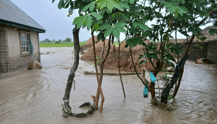 flood in Taraba