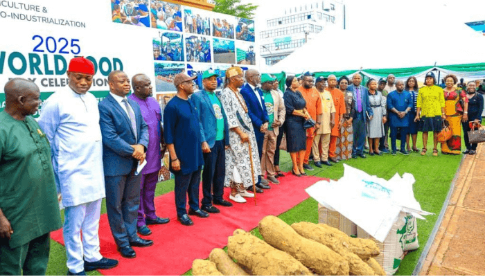 Enugu marks World Poverty Day