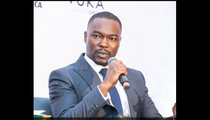 Ibrahim Shelleng, Senior Special Assistant to the President on Climate Finance and Stakeholder Engagements