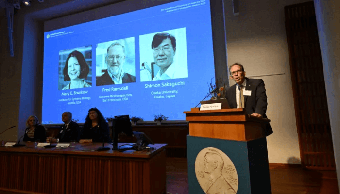 Immune system breakthrough wins 2025 Nobel medicine prize for US, Japan scientists