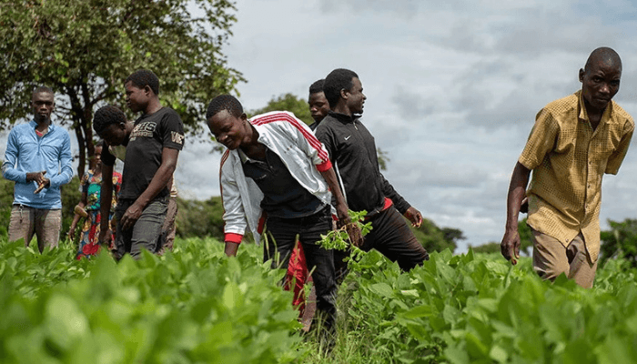 World Food Prize finalists