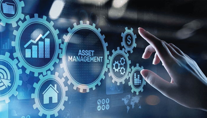 asset management