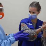 hospital-acquired infections