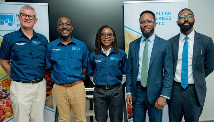 Ellah Lakes receives SEC approval for N235 billion public offer