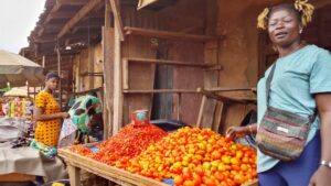 Business ONGOING DESPITE ELECTION SHOWS VOLTA APATHY