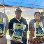 Lagos launches rice fortification plant