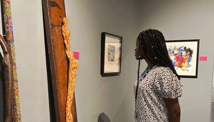 Yemisi Shyllon Museum of Art