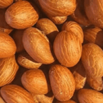 Health benefits of Bitter Kola