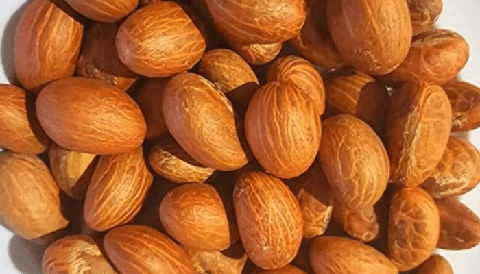 Health benefits of Bitter Kola