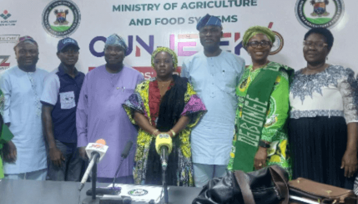 Lagos rolls out 25% subsidy on key stables ahead of festive season