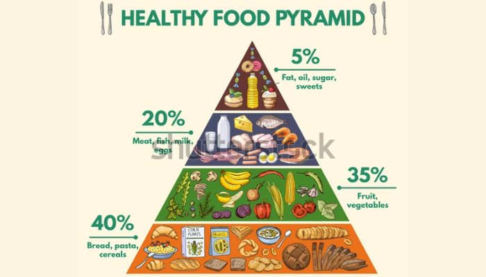 Food Pyramid