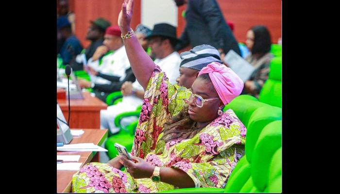 Erhiatake Ibori-Suenu, Chairman, NDDC Committee