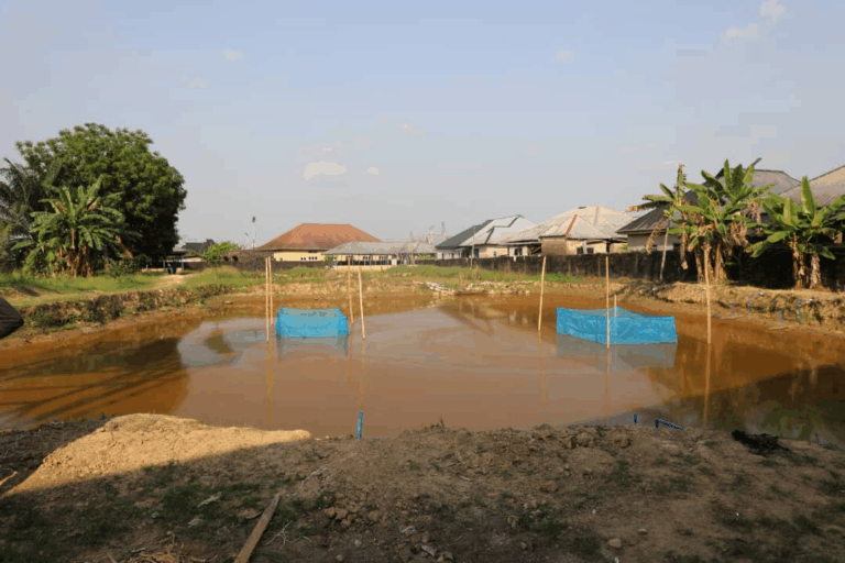 Fish farm in Bayelsa State