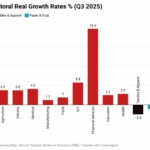 Nigeria’s economic position