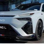 Images may be subject to copyright