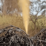 oil spill in Niger Delta