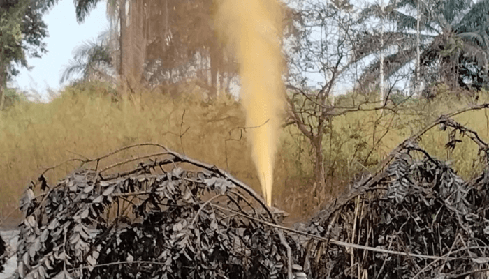 oil spill in Niger Delta