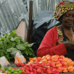 Kaduna financial inclusion