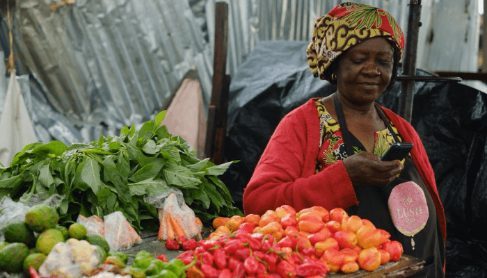 Kaduna financial inclusion