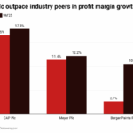 Chemical and Allied Products Plc
