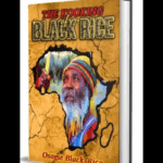 Black Rice: A memoir of Nigerian reggae, culture, and survival